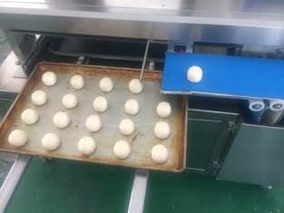 자동인 파나소닉 센서 카야 쪽 빵 생산 라인 380V